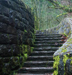 9781483507293.225×225-75